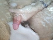 Hot stud jerks off and cums hard while taking a bath