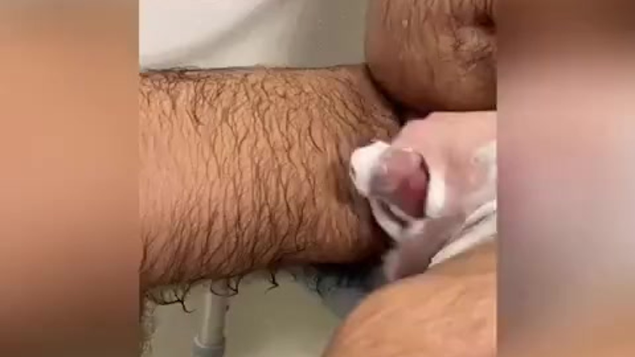 Disabled Guy Gets Cock Stroked In The Shower Until He Cums - More Videos On OnlyFans - Free Sex Video - RedTube