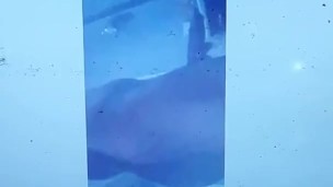 1 Screenshots from pics Shot@3009 Granville Dr., Raleigh (2017 or 2018)
