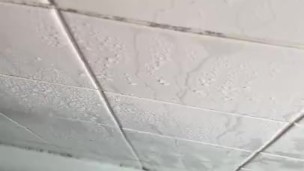 Having a hot steamy shower while wanking my wet cock with big cumshot 