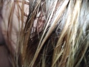 Take a bath with two dildos and one cock 11/16