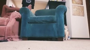 FAN REQUEST - Soft cock, Hard cock, feet and ass.