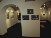 Rosario Gallardo si masturba e viene in pubblico in una galleria d'arte 5/16