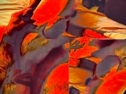 SloFapMo jerk off 12/16