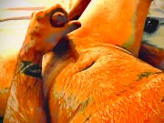 SloFapMo jerk off 5/16