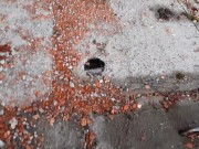 Я трахаю его на заброшенной фабрике, глядя на проезжающие поезда 1/16