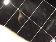 Amateur boy plays with cock in hotel bathroom 