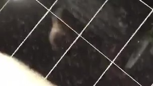 Amateur boy plays with cock in hotel bathroom 