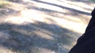 Public dick flashing at golf course 