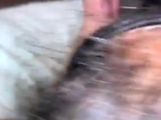 Babygirl sucking dick and playing with my ass 16/16