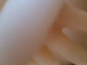 the first anal of my doll 12/16