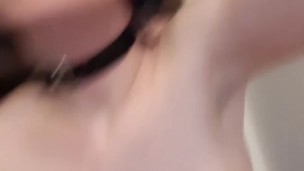 Asshooked pig