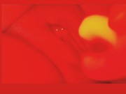 RED LIGHT SPECIAL