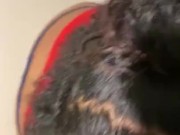 SHE LOVES SUCKING DADDY DICK 8/16