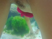 ANAL among Corals # Underwater Close Up SEX # Replace PLUG with DICK - Screenshot 13 of 16 - Outside
