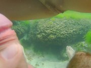 ANAL among Corals # Underwater Close Up SEX # Replace PLUG with DICK - Screenshot 3 of 16 - Outside