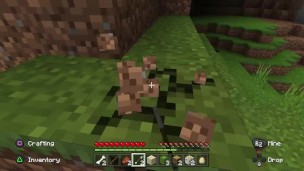 May of Minecraft part 1