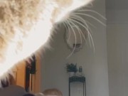 Blonde jewish pawg riding dildo add me on snapchat @madisxn777  for more 13/16