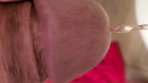 Small cock pissing in toilet