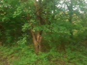 Anal fun in the valley 1/16