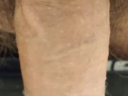 Jzs busca a la más guapa soltera para matrimonio, y ser millonario. 