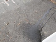 Marking My territory 12/16