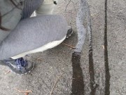 Marking My territory 13/16