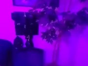 Behind the scenes- Inside a Fantasy Fulfillers Redroom!! Take a quick tour! 4/16