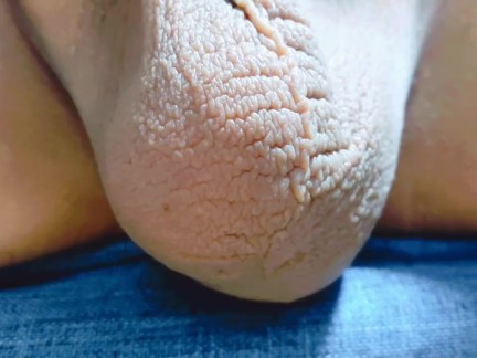 Testicle timelapse