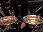 Slave Slut-Orgasma Celeste in black latex eating dog food and drinking piss 5/16