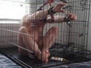 Restrained in a locked dog cage for almost an hour pt.2