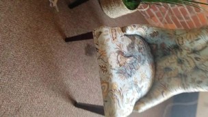 Quick chair piss before I went home 