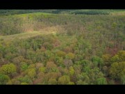Drone footage covid 19