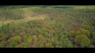 Drone footage covid 19