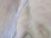 Fucking BBW in the pool outside 16/16