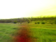 Сучка получила двойной оргазм в лесу 1/16