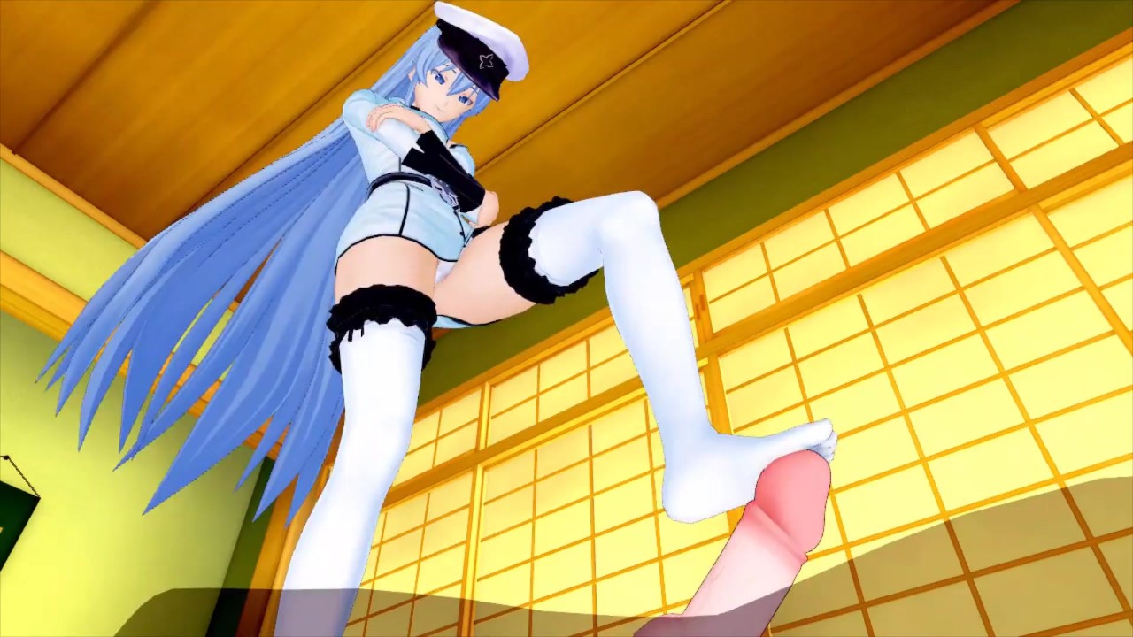 AKAME GA! ESDEATH 3D HENTAI ANIMATION - RedTube