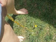 Quick Morning Pee Outside Very Yellow 13/16