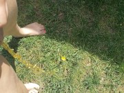 Quick Morning Pee Outside Very Yellow 8/16