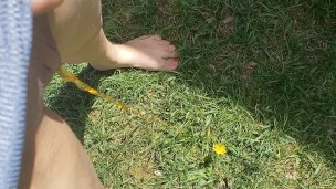 Quick Morning Pee Outside Very Yellow