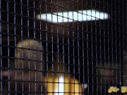 Salty's sultry study today, Kenzie. 1/16