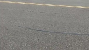 Outside exposing private parts & cumshots in Detroit Michigan