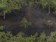 LUST EPIDEMIC - PART 30 - LOCKED UP AND CHEATED ON BY HIS GF 10/16