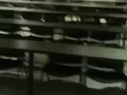 Getting fucked by my professor to pass the class (REAL) Full Video on OF 3/16