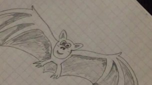 Drawing a bat
