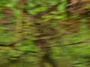 POV Piss Of A Nerdy Hiker 14/16