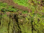 POV Piss Of A Nerdy Hiker 2/16