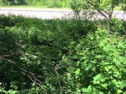 Показала Прохожему НА УЛИЦЕ свои Мокрые Трусики и он Кончил в Них 1/16