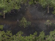 LUST EPIDEMIC - PART 34 - MILF HAREM 11/16