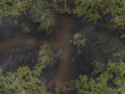 LUST EPIDEMIC - PART 34 - MILF HAREM 12/16